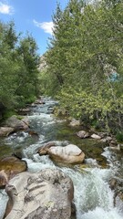 Altai Mountain River