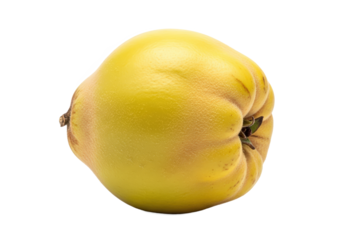 Ripe yellow quince fruit resting on a clean surface, showcasing its smooth skin and natural color