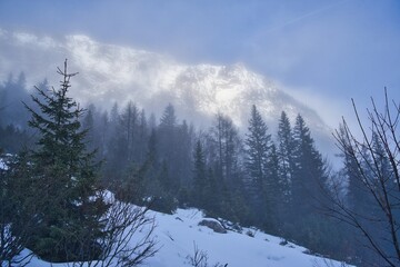 snow covered mountains