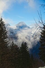 snow covered mountains