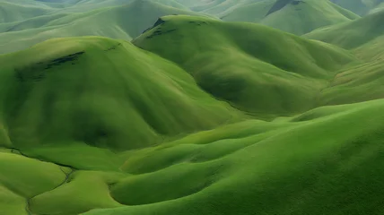 Foto auf Acrylglas Grün Rolling green hills with soft curves and vibrant grass in scenic natural landscape  © Odin