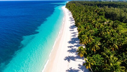 Tropical beach with palm trees, white sand, and turquoise ocean