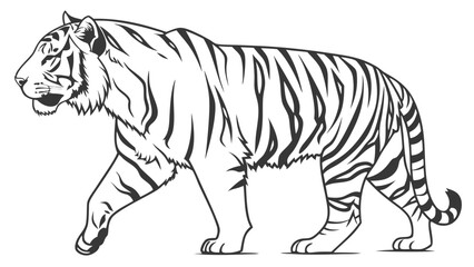 Obraz premium Striped Tiger Walking Wild Cat Illustration Black and White Vector Graphic Wildlife Art.