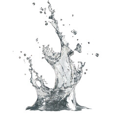 Water Splash Frozen in Motion on white background