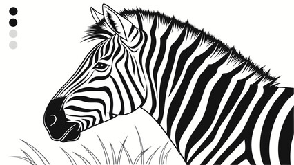 Zebra head illustration black and white wildlife african animal stripes pattern nature animal portrait graphic design monochrome zoo animal wild mammal fauna coloring page vector a.