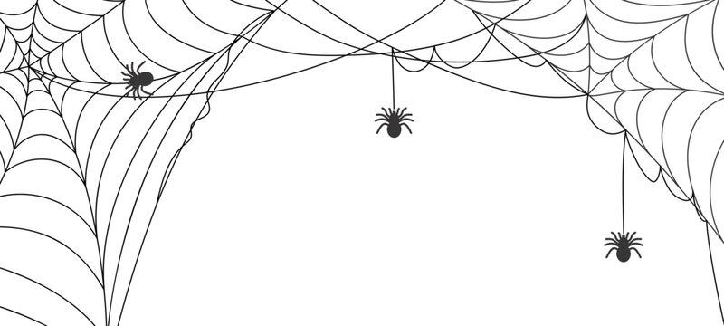 Black and white spiderweb header hanging spider silhouettes and intricate cobweb lines, decorative border for halloween designs, banners, invitations, posters, spooky frame vector illustration.