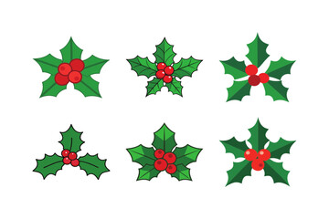 Six holly berry plants in various shapes on transparent background