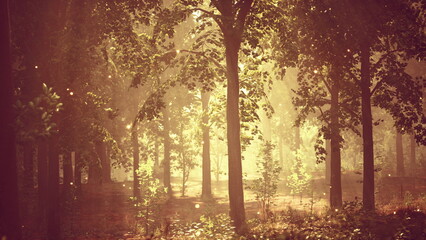 Foggy Forest with Fireflies at Sunset