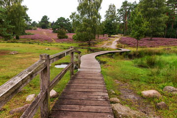Holzsteg in der L&uuml;neburger Heide, B&uuml;senbachtal