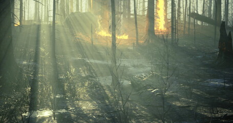 Obraz premium Bright rays of sunlight illuminate a dense forest where flames consume dry trees and underbrush, creating a striking contrast between light and fire. The air is filled with smoke.