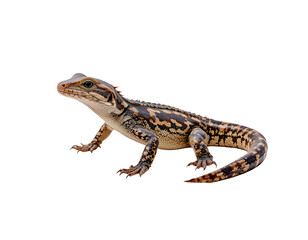 Naklejka premium Colorful Lizard with Intricate Patterns Against a Transparent background