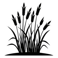 Tall Meadow Grass Silhouette