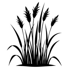 Obraz premium Tall Meadow Grass Silhouette