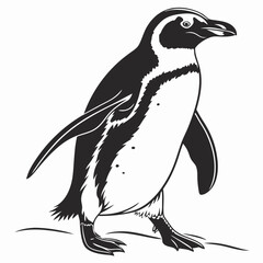 penguin vector illustration