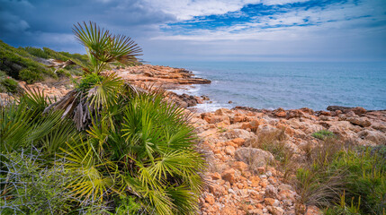 Walking Coast Path, Sierra de Irta Natural Park, Costa de Azahar, Bajo Maestrazgo, Castellón, Comunidad Valenciana, Spain, Europe