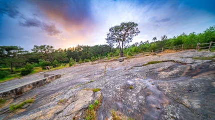 Poster Dinosaurus Dinosaur Footprints of Regumiel de la Sierra, El Frontal Footprint Deposit, Soria, Castilla Y León, Spain, Europe  © Al Carrera