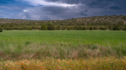 Agricultural Field and Mediterranean Forest in Stormy Wether, Soria, Castilla Y León, Spain, Europe