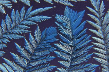 Microscopic ice crystals, fern-like, intricate patterns, deep blue background