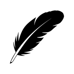 Obraz premium Elegant black feather on white background showcasing detailed barbs and quill
