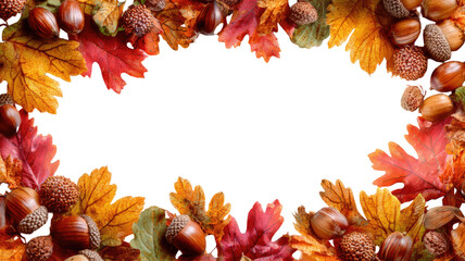 Autumn maple leaves and acorns forming frame seasonal foliage natural plant decorative object isolated on white background