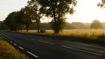 Sunlit road with trees and open field in the morning