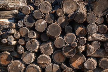 Woodpile. Stacks of sawn wooden tree trunks. Pile of wood.