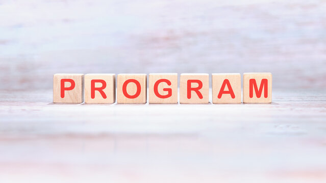 The concept word PROGRAM is made of wooden cubes on a light background. Loyalty Program Shopping concept