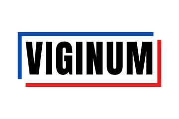 Symbole Viginum service de vigilance et de protection contre les ingérences numériques étrangères en France