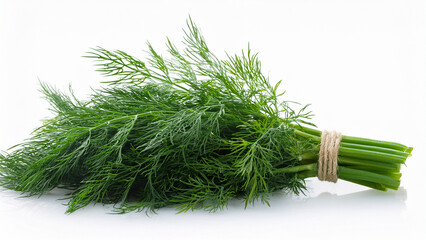 Fresh dill isolated on white background. Raw organic vegetable for cooking, diet, and healthy eating.