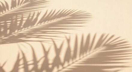 Evocative tropical palm leaf shadows creating a serene and minimalist summer backdrop on a light, warm-toned wall, perfect for natural aesthetics and relaxation concepts