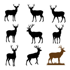 Fototapeta premium Majestic deer and stag silhouette vector set