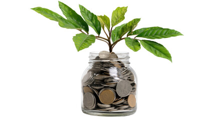 A glass jar filled with coins and a small green plant growing from it, symbolizing financial growth and investment. Isolated on a white background for clarity.