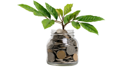 A glass jar filled with coins and a small green plant growing from it, symbolizing financial growth and investment. Isolated on a white background for clarity.