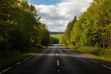 Obraz premium A scenic road surrounded by lush green trees under a cloudy sky