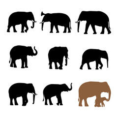 Elephant family and individual silhouettes vector set

