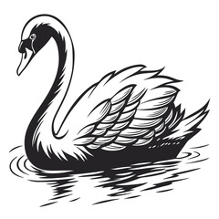 Swan vector illustration
