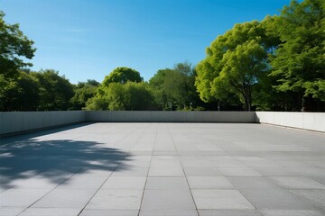 Open space with green trees under clear blue sky