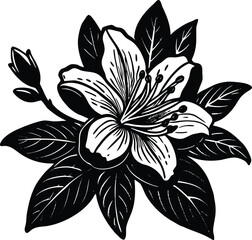 Abstract swirls of cosmic dust and nebulae glow with vibrant colors isolated on transparent background