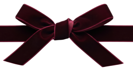 Luxurious Deep Burgundy Velvet Ribbon Bow Isolated on White Background