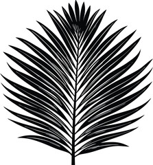 Obraz premium Abstract swirling liquid droplets forms articulated shapes isolated on transparent background