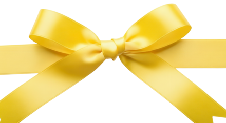 Bright Yellow Gift Bow isolated PNG with Transparent Background