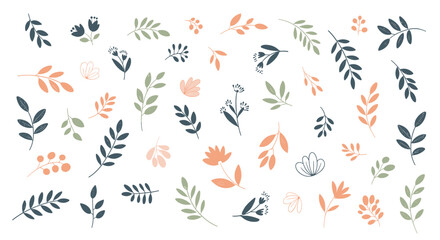 Fototapeta premium A beautiful collection of colorful botanical leaf and flower illustrations. .