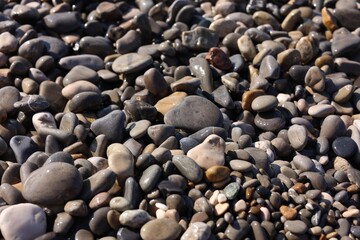 Many beautiful pebbles as background, closeup view