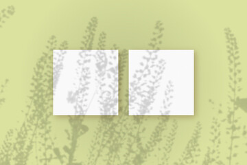 Natural light casts shadows from the field grass on 2 square sheets of white paper lying on a green background. Mockup