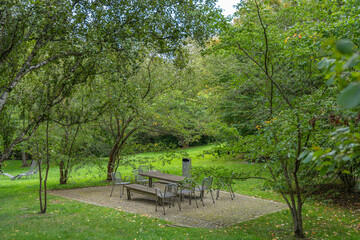 Fototapeta premium A picnic area with wooden tables and metal chairs sits under trees. The green lawn and leafy canopy create a peaceful park setting.