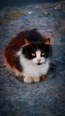 Street and City Views of Istanbul, Turkey