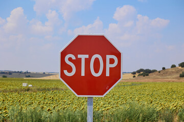Red stop road sign on a rural road with sunflower field and blue sky