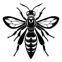 bee vector illustration