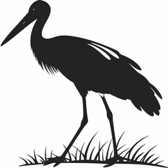 stork on the ground