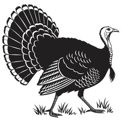 turkey vector illustration
